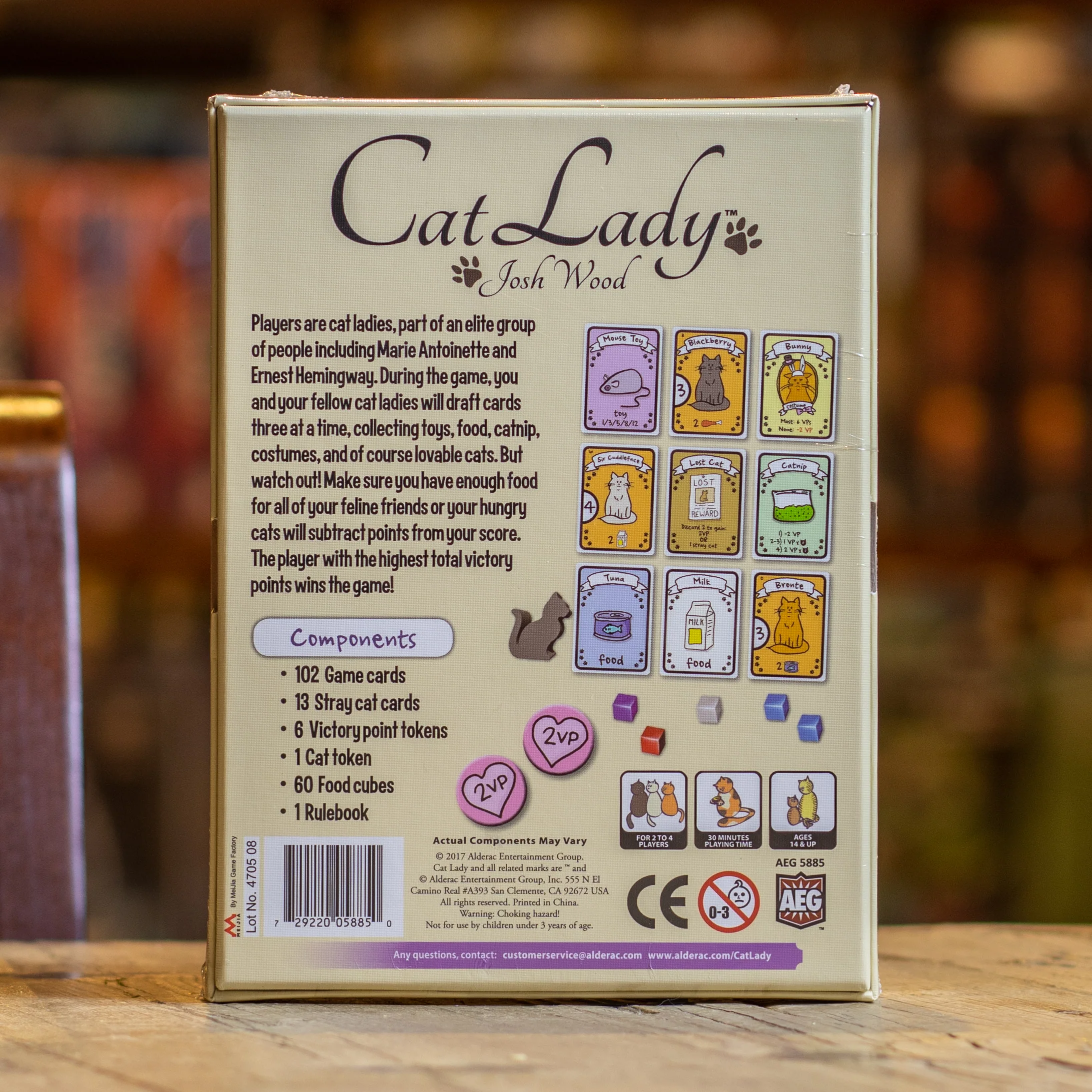Cat Lady - Image 2